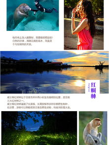 沙巴花享4晚6日半自助游 私享至美雙島，兩天泡湯兩天看海